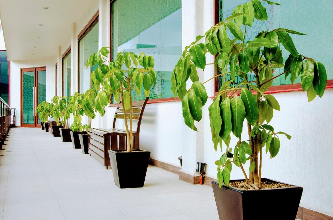 Hotel Boutique Luxury Pachuca Extérieur photo